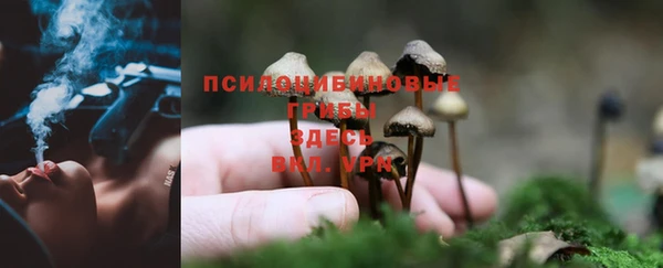 дмт Кадников