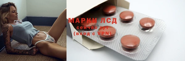 крисы Аркадак