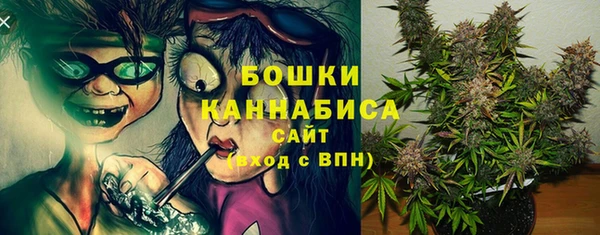 ГАЛЛЮЦИНОГЕННЫЕ ГРИБЫ Балахна