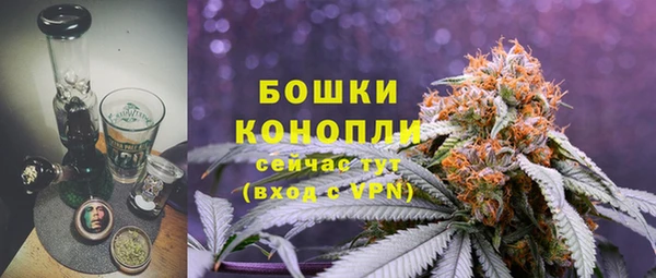 ГАЛЛЮЦИНОГЕННЫЕ ГРИБЫ Балахна