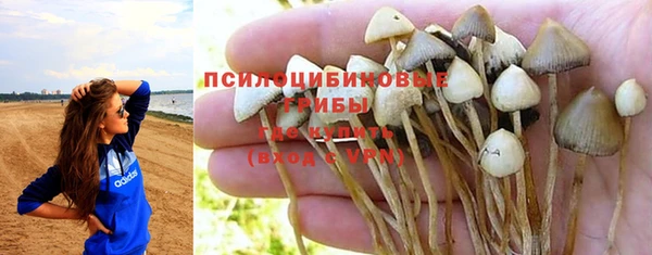 ГАЛЛЮЦИНОГЕННЫЕ ГРИБЫ Балахна