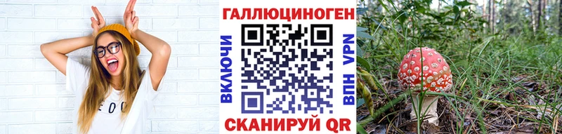 Псилоцибиновые грибы Psilocybine cubensis  Белинский 